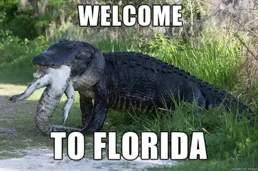 Missing Travels #4 - Florida
