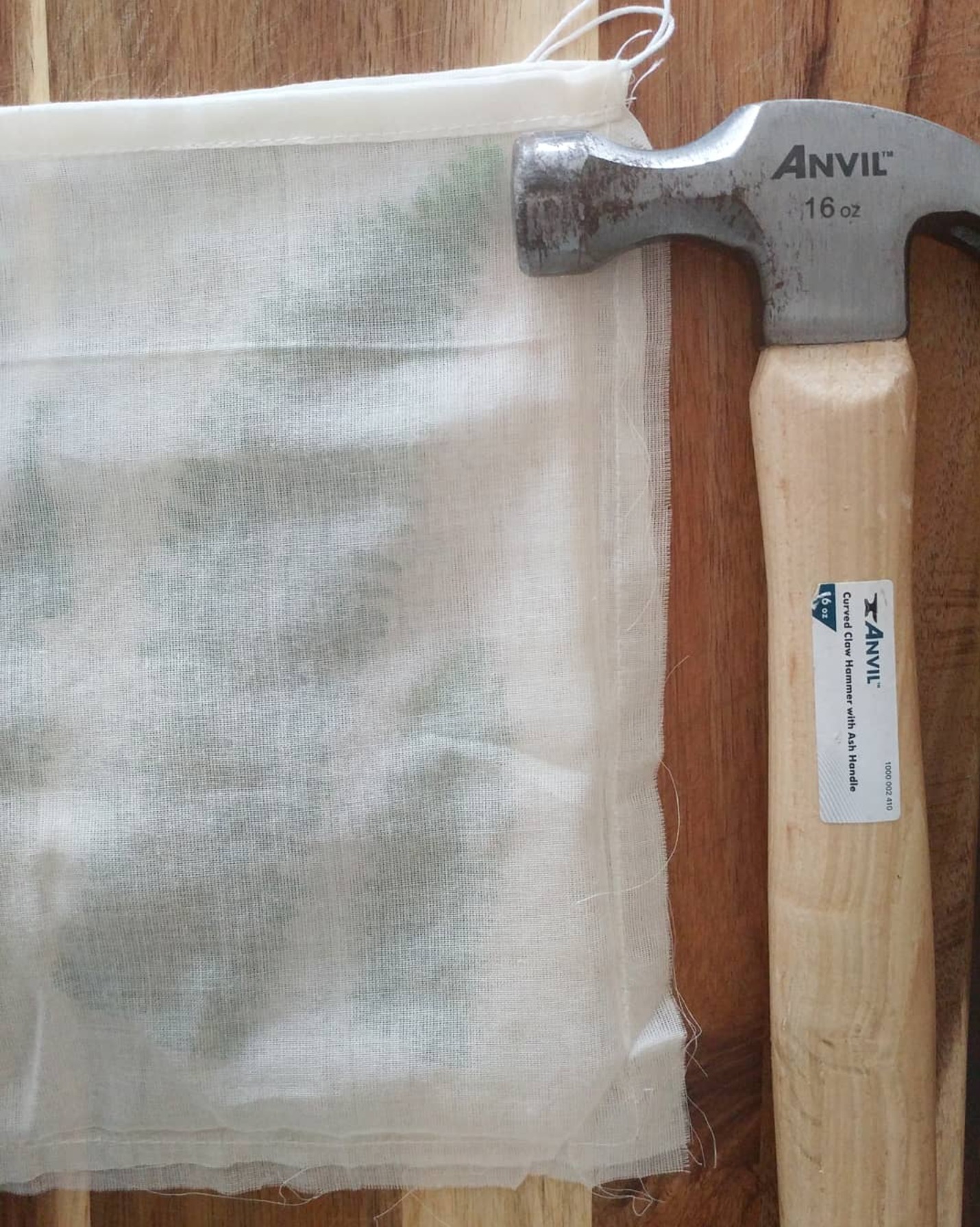 Hammering the botanical transfer