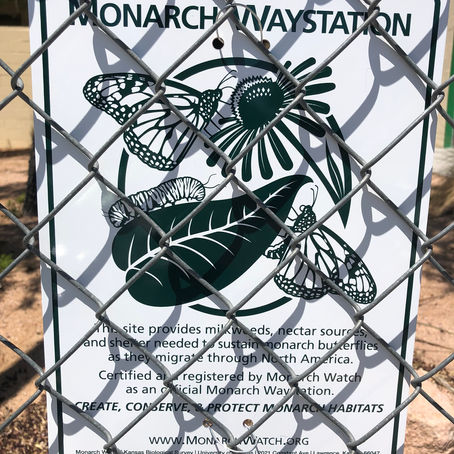 Monarch Waystation Certification!