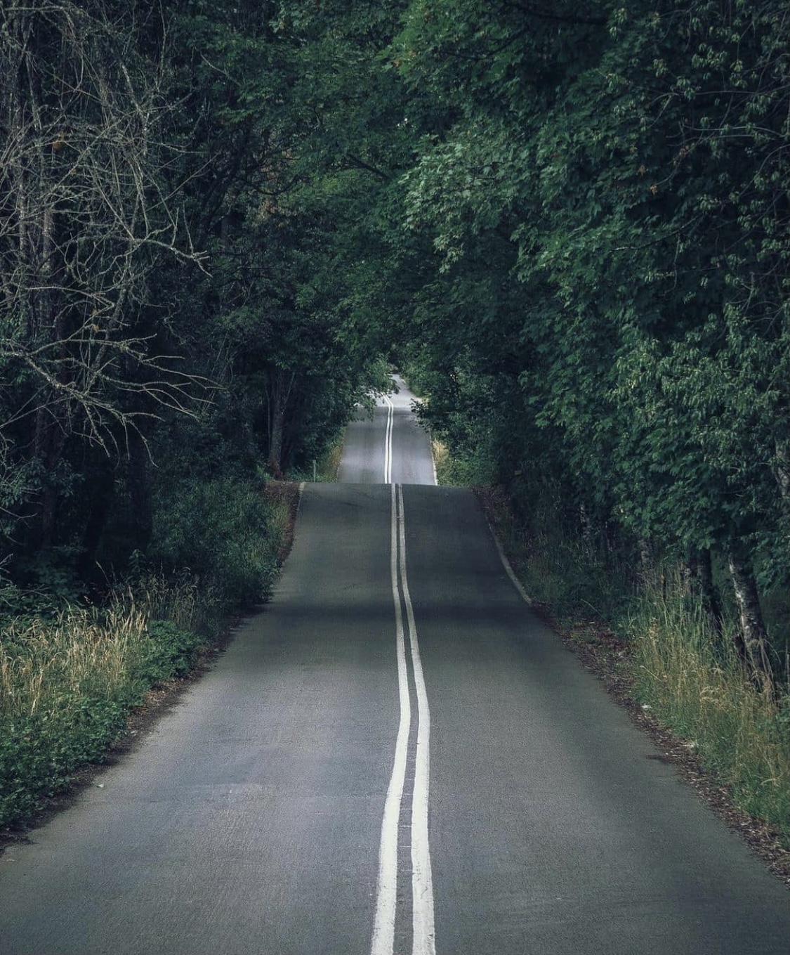 Caminos malditos, caminos benditos. content media