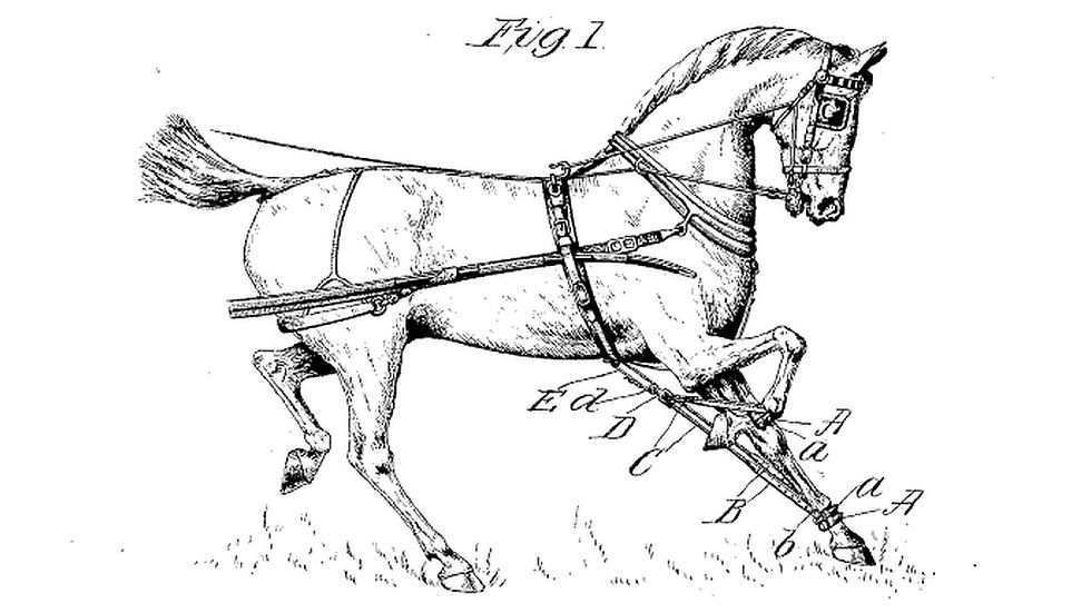 Concluding Revisions