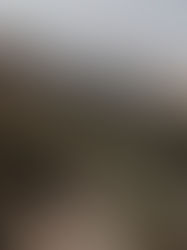 Time In The Wilderness