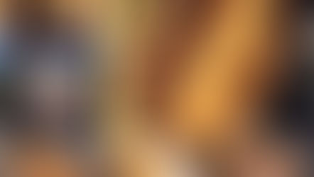 The Moose is Wandering Our Way