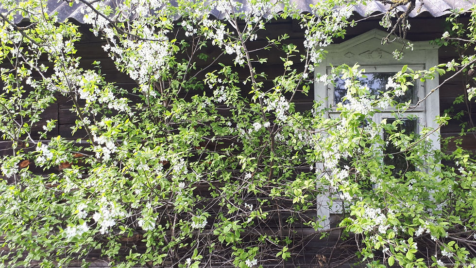 История из жизни.