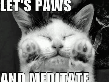 Meditation: following the breath