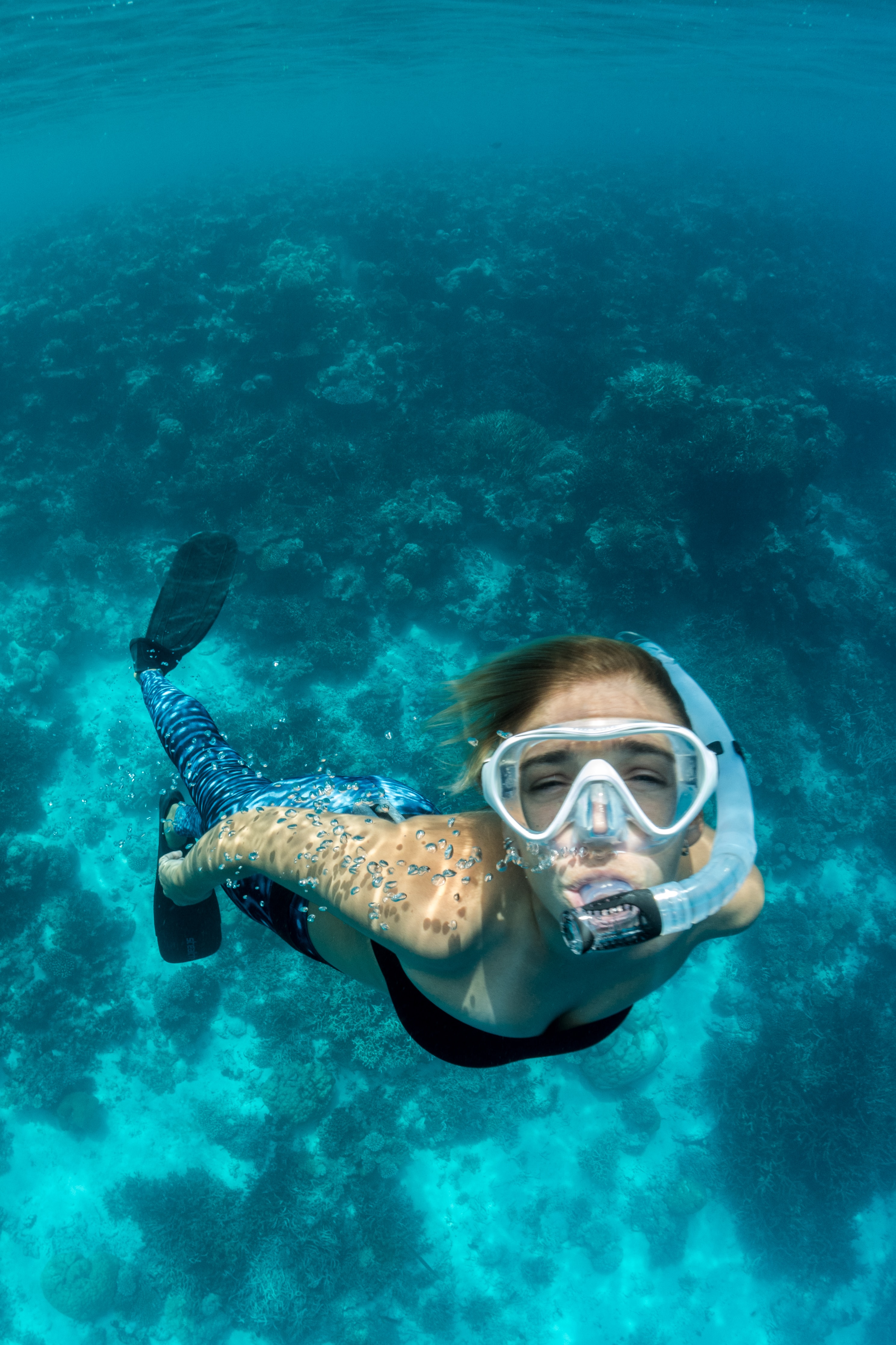 Antigua's Natural Assets content media