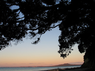 Photography landscapes NZ New Zealand Auckland dusk beach trees Rangitoto