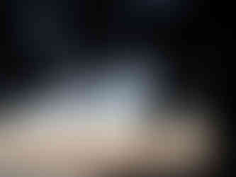 Photography landscapes NZ New Zealand Auckland dusk beach trees Rangitoto