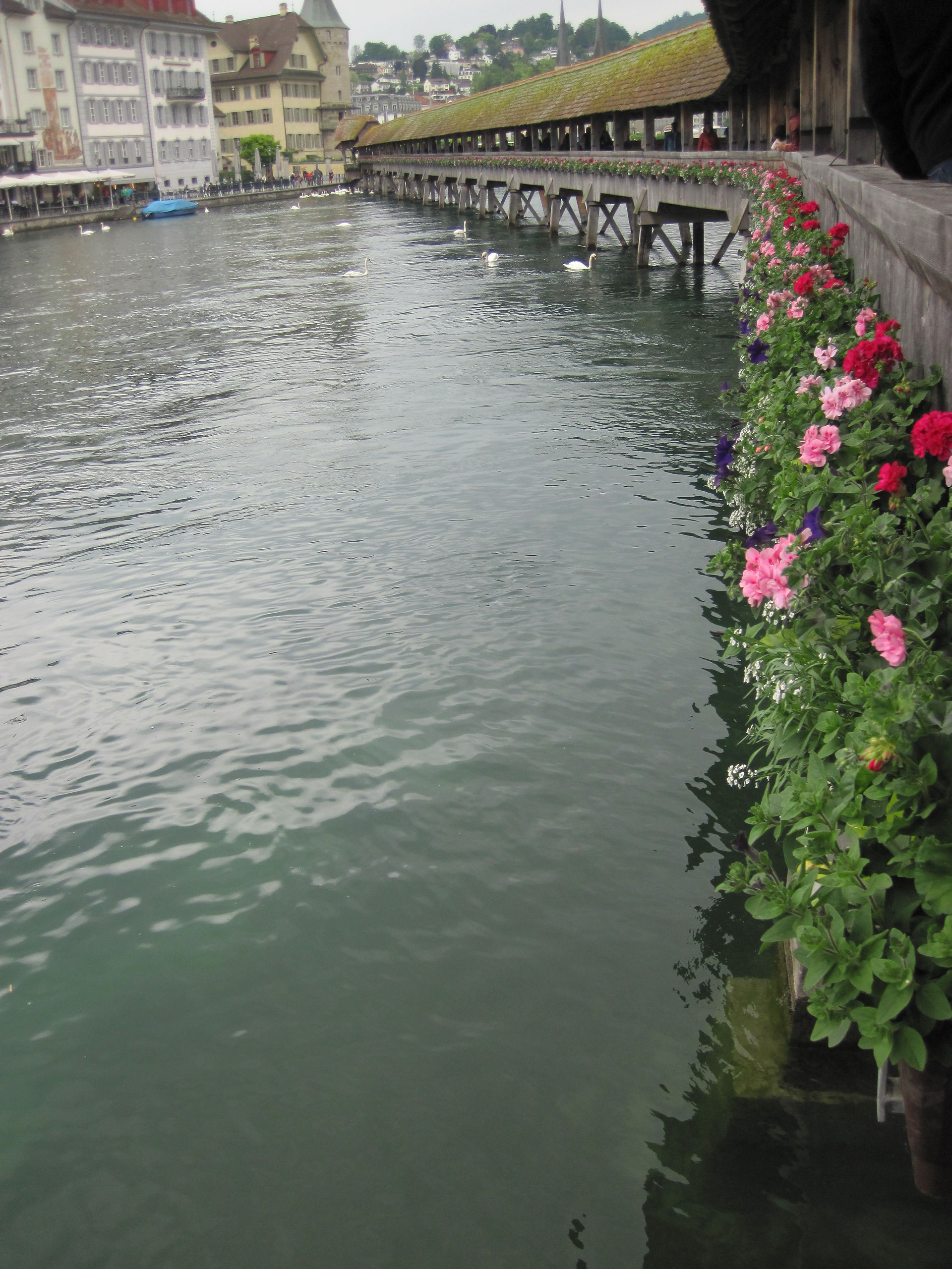 Switzerland, Lucerne, Chapel Bridge