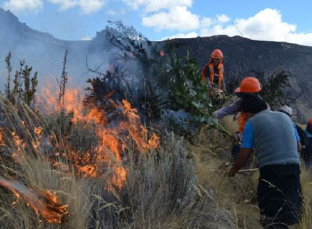 Recolectan rehidratantes y alimentos para casos de incendios forestales

