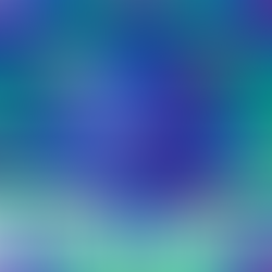 Meet a Mathematician!