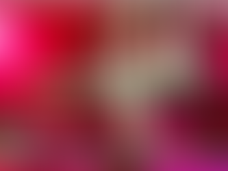 School of Rock Flower Mound