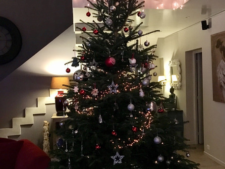 Nous vous souhaitons à tous de bonnes fêtes de fin d année!! ❄️🌟🎄⛄️💫