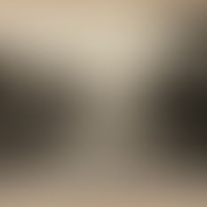 Central New York, an inland empire - 4 Volumes of history and photos