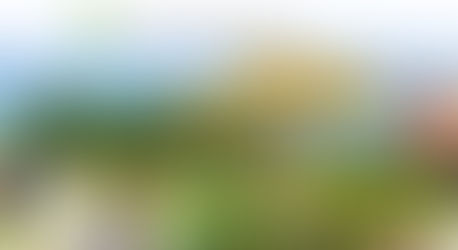 Cari Lokasi Gathering Di Tangerang ? Datang Aja Ke Scientia Square Park