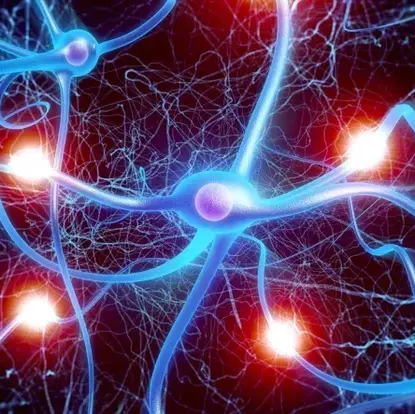 Science Announces Distortion When We Live Due To Coronavirus