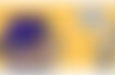 VIDA DE GADO – O boi segue de Uber para o Matadouro