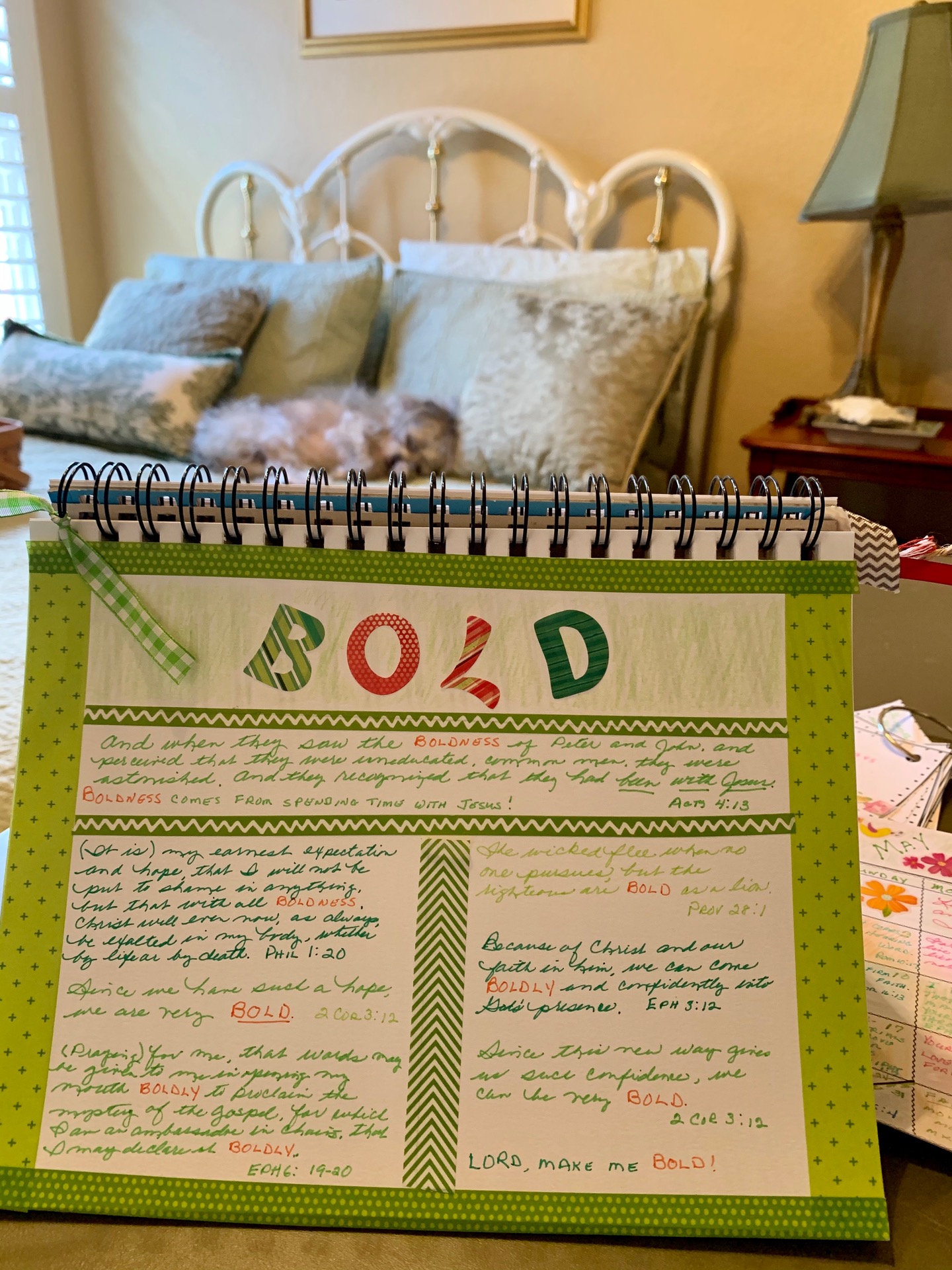 Praying for boldness this week. Dog on the bed seems content to be a slacker. content media