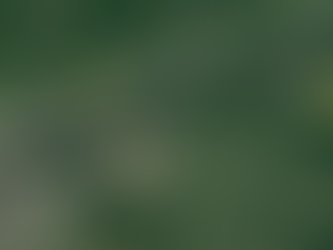 EF-1 Tornado Confirmed Near Ottawa on Sunday, June 2nd, 2019