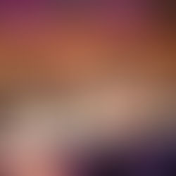 La Fabrication d'un violon 