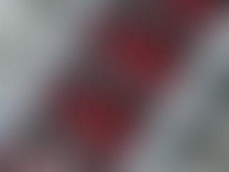 ¡La colaboración más esperada de este año!