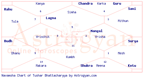 My 91st Navamsha(D9s 7th House) is empty, but I have planets in D1s 11th House. Will I become rich? content media