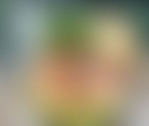 Prepara esta deliciosa receta de 'Aguacate relleno con camarón'