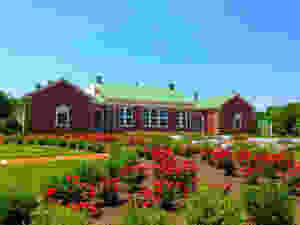 BAAA exhibits and announcements