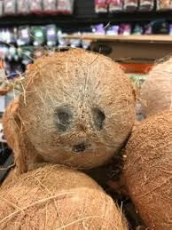 Pareidolia Checkup 