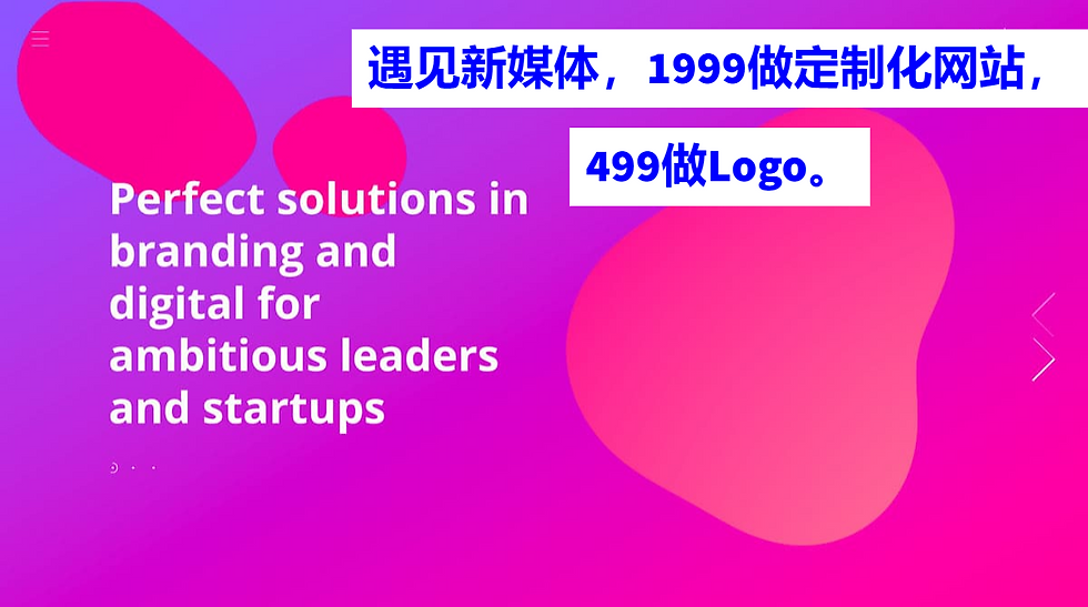 网站设计和开发