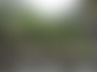 Ganadería, cultivos ilícitos y palma de aceite, las causas de la deforestación en el Caribe