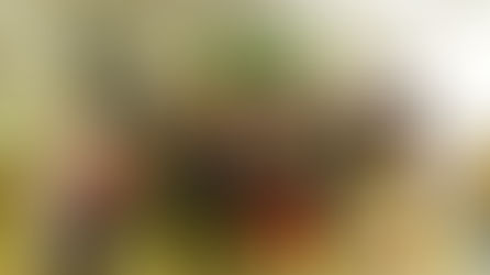 오스트라바 양로원 방문 및 한국문화체험 나눔행사