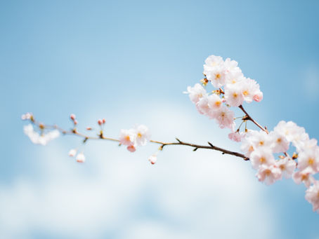 3 TIPS TO SPRING CLEAN YOUR CONTENT CALENDAR