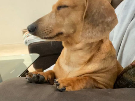 Kya Dreams of Crispy Fries