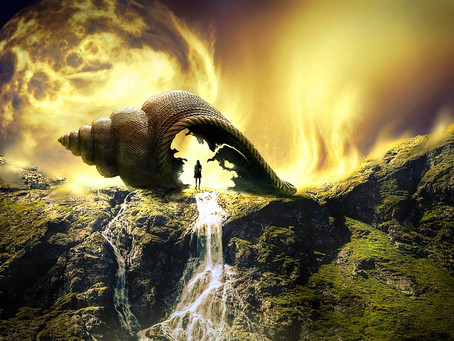 זמן לדיוק והתחלות