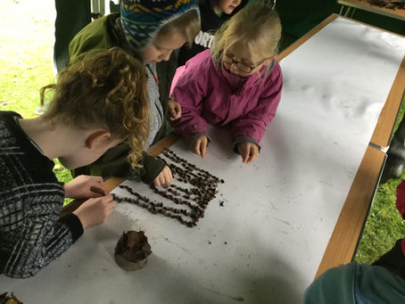 Year 3 Visit Arlington Court