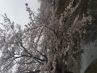 木工祭り