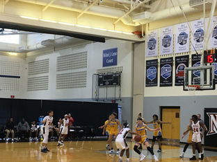 Lady Panthers Advance to Region XIX Championship