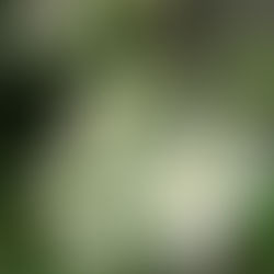 A little food, sun, water and a lot of love