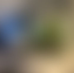 약빨취 취업컨설팅 그룹 강남 본점