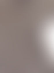Alpaca Riddle No.1. Invisible Bust Darts