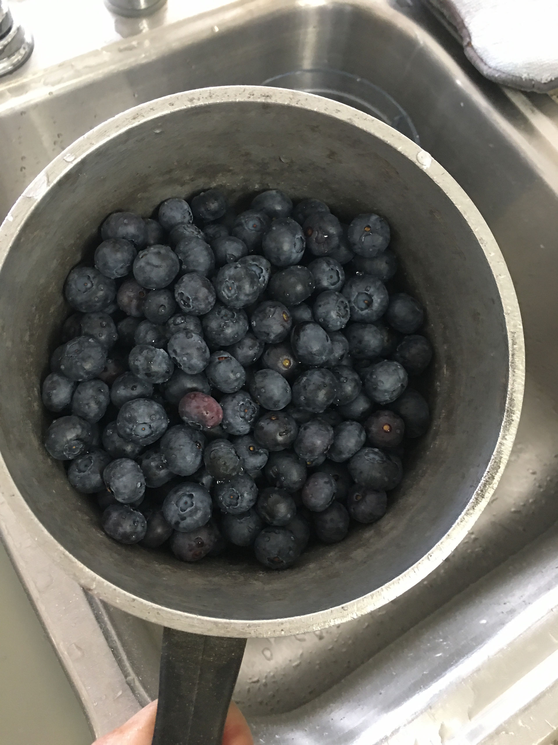 Fresh blueberries