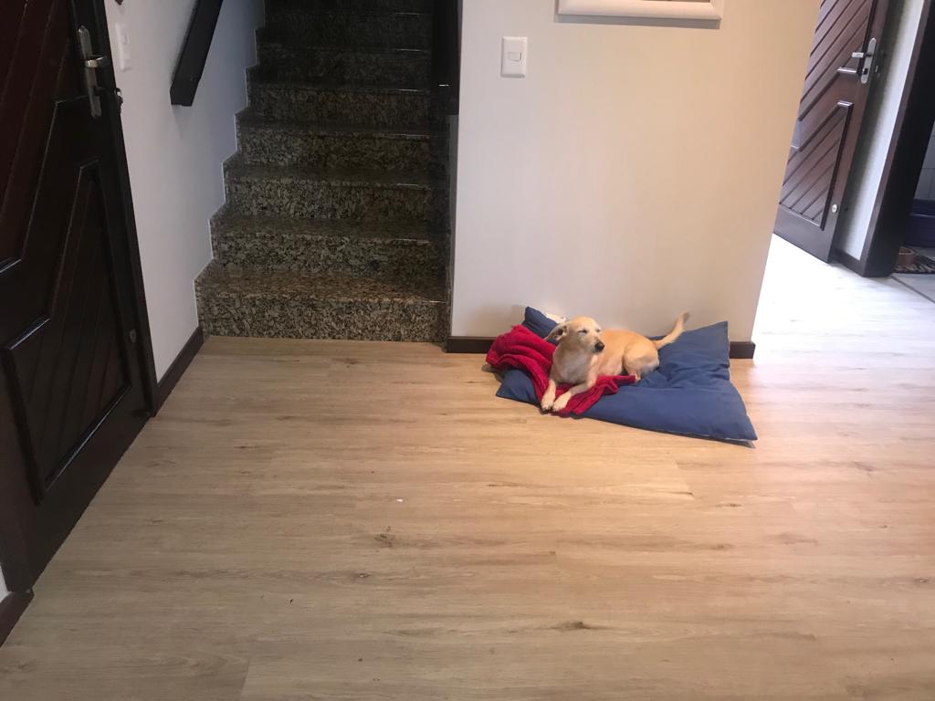 Piso de PVC - Gênova — foto 7
