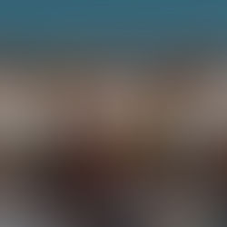 「包租公移民」計劃