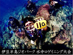 水中ロゲイニング大会やります!!