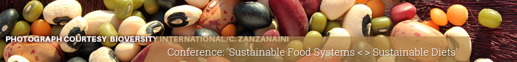 Sustainable Food Systems < > Sustainable Diets Conference Rome, Friday, 11 October 2019. content media