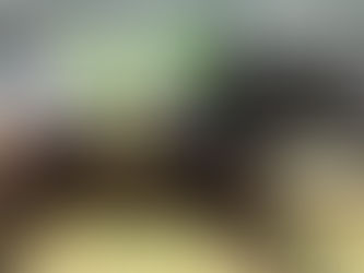 Which Breeds Can Be Racehorses?