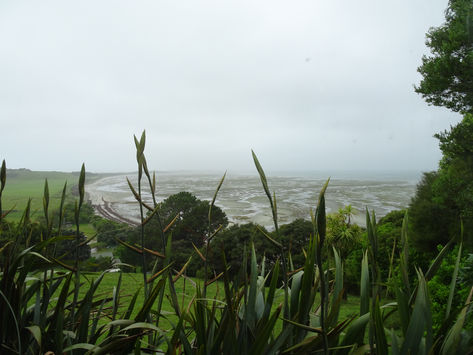 Farewell Spit