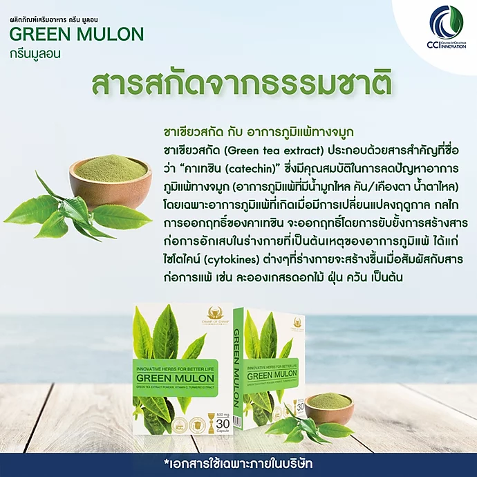 กรีนมูล่อน Green mulon รักษาลมพิษเรื้อรัง ลมพิษผื่นคัน โรคหอบหืด แพ้อากาศ แพ้ฝุ่น แพ้ไรฝุ่น ภูมิแพ้เรื้อรัง