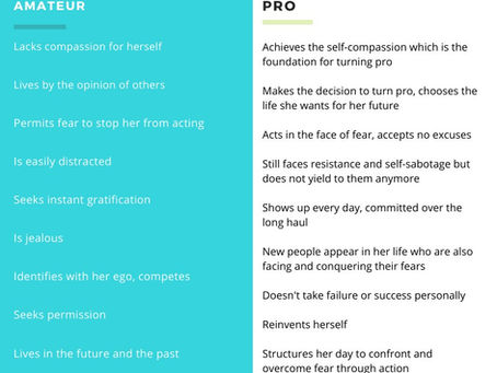 Amateur vs. Pro